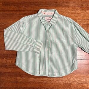 American Eagle Striped Button Down Shirt Womens Small Green White Cropped